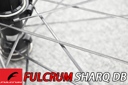 FULCRUM SHARQDB SHARQ DB DISC 2WAY-FIT 2WF ROADBIKE GRAVEL WHEEL フルクラム シャーク ディスク ロードバイク グラベル ホイール 12